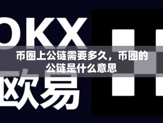 币圈上公链需要多久，币圈的公链是什么意思