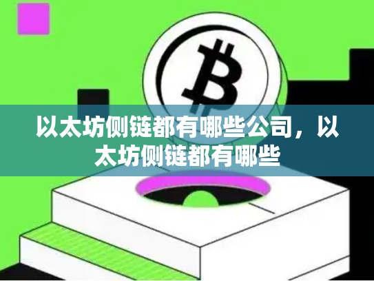 以太坊侧链都有哪些公司，以太坊侧链都有哪些-第1张图片-币数通