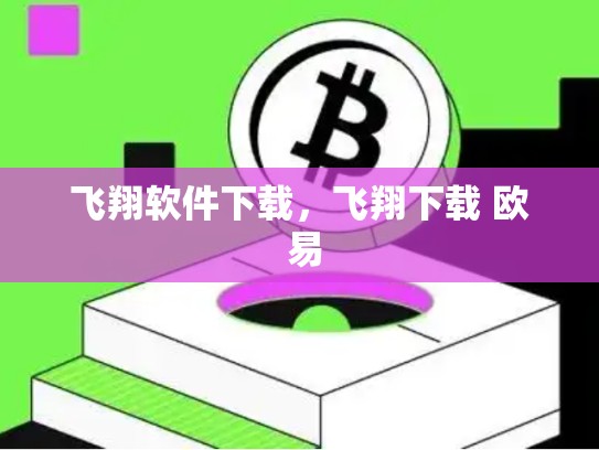 飞翔软件下载，飞翔下载 欧 易
