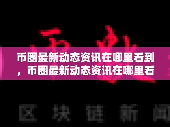 币圈最新动态资讯在哪里看到，币圈最新动态资讯在哪里看