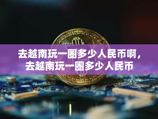 去越南玩一圈多少人民币啊，去越南玩一圈多少人民币