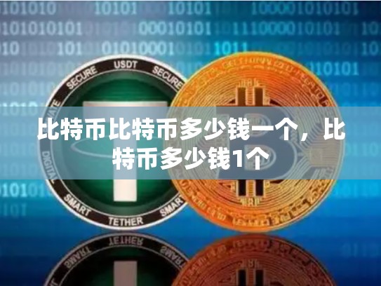 比特币比特币多少钱一个，比特币多少钱1个-第1张图片-币数通