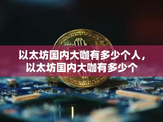 以太坊国内大咖有多少个人，以太坊国内大咖有多少个