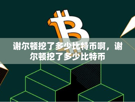谢尔顿挖了多少比特币啊，谢尔顿挖了多少比特币