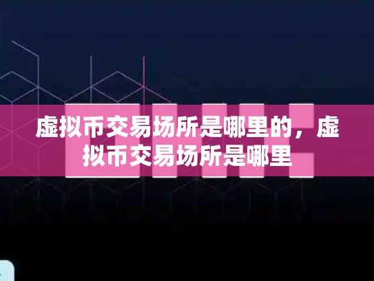虚拟币交易场所是哪里的，虚拟币交易场所是哪里