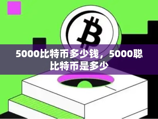 5000比特币多少钱，5000聪比特币是多少