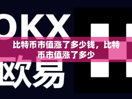 比特币市值涨了多少钱，比特币市值涨了多少-第1张图片-币数通