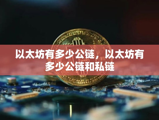 以太坊有多少公链，以太坊有多少公链和私链