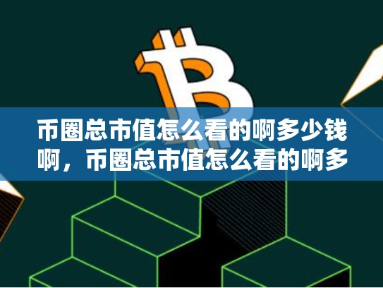 币圈总市值怎么看的啊多少钱啊，币圈总市值怎么看的啊多少钱-第1张图片-币数通