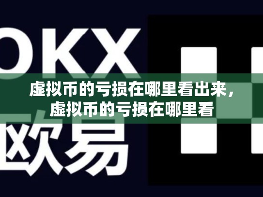 虚拟币的亏损在哪里看出来，虚拟币的亏损在哪里看