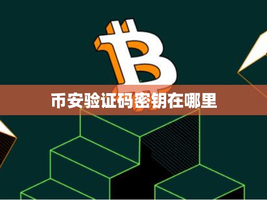 币安验证码密钥在哪里-第1张图片-币数通