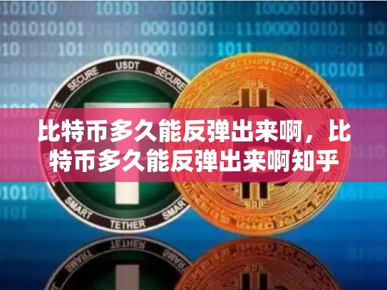 比特币多久能反弹出来啊，比特币多久能反弹出来啊知乎