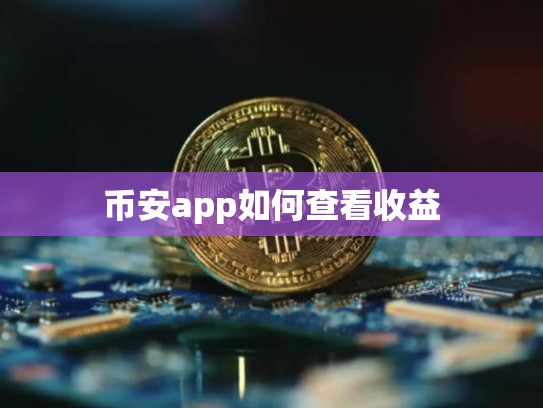 币安app如何查看收益