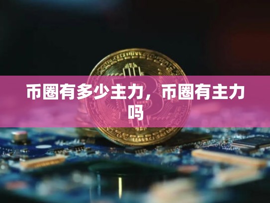 币圈有多少主力，币圈有主力吗