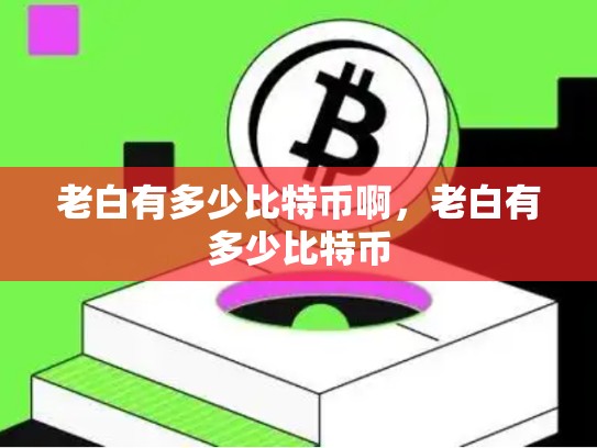 老白有多少比特币啊，老白有多少比特币