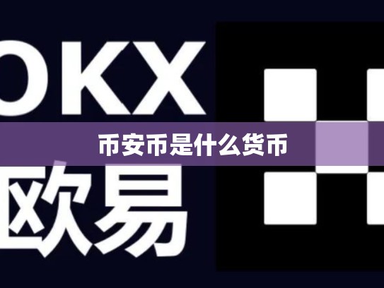 币安币是什么货币