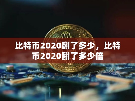 比特币2020翻了多少，比特币2020翻了多少倍-第1张图片-币数通