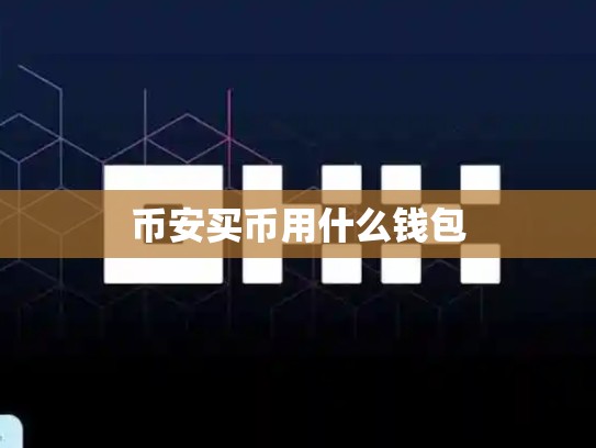 币安买币用什么钱包