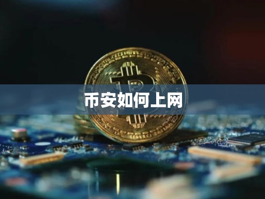 币安如何上网