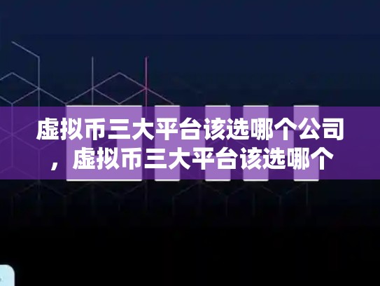 虚拟币三大平台该选哪个公司，虚拟币三大平台该选哪个