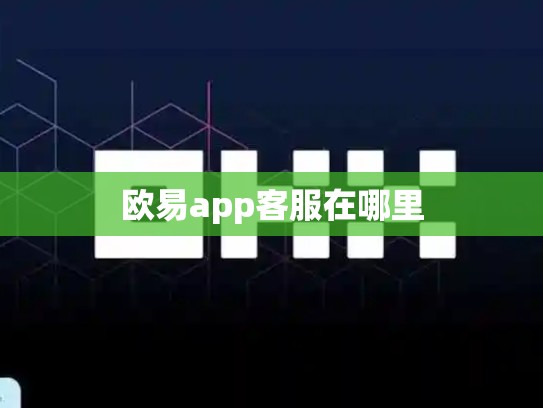 欧易app客服在哪里-第1张图片-币数通