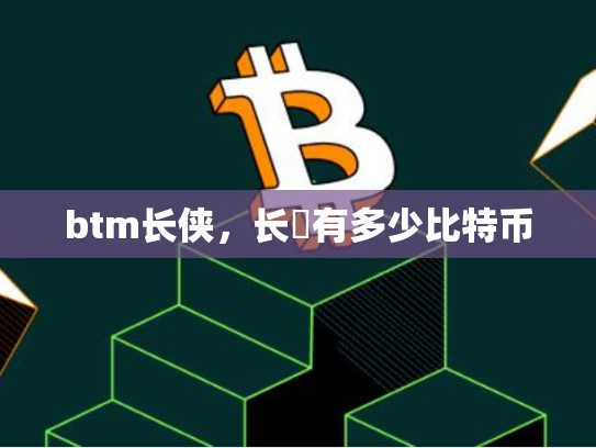 btm长侠，长俠有多少比特币