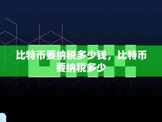比特币要纳税多少钱，比特币要纳税多少