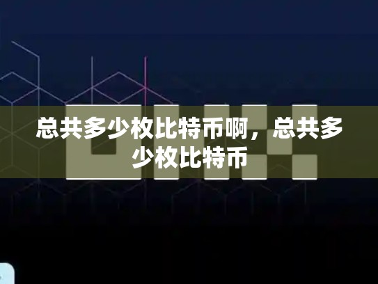 总共多少枚比特币啊，总共多少枚比特币-第1张图片-币数通