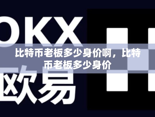 比特币老板多少身价啊，比特币老板多少身价