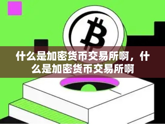 什么是加密货币交易所啊，什么是加密货币交易所啊-第1张图片-币数通