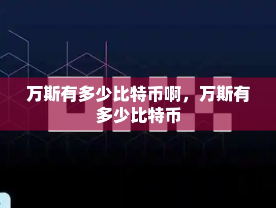 万斯有多少比特币啊，万斯有多少比特币
