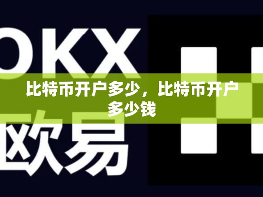 比特币开户多少，比特币开户多少钱-第1张图片-币数通
