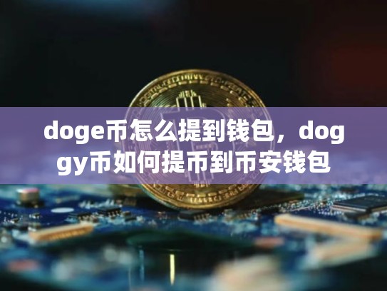 doge币怎么提到钱包，doggy币如何提币到币安钱包