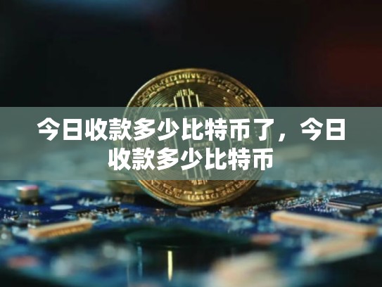 今日收款多少比特币了，今日收款多少比特币