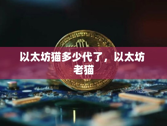 以太坊猫多少代了，以太坊 老猫