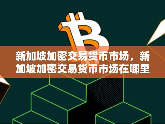 新加坡加密交易货币市场，新加坡加密交易货币市场在哪里