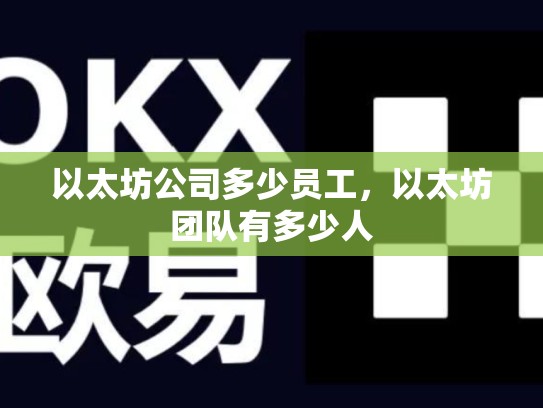 以太坊公司多少员工，以太坊团队有多少人