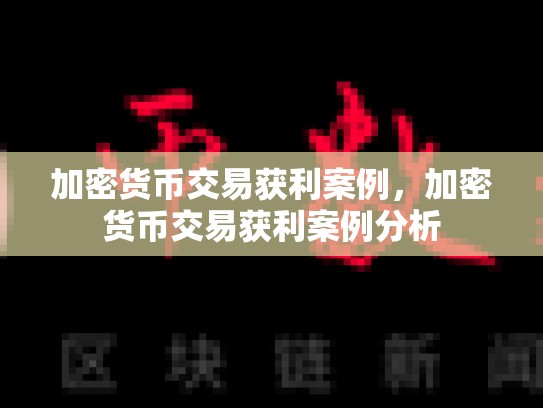 加密货币交易获利案例，加密货币交易获利案例分析