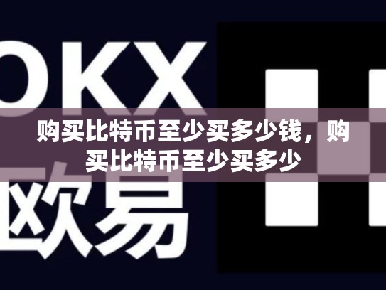 购买比特币至少买多少钱，购买比特币至少买多少