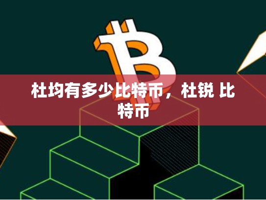 杜均有多少比特币，杜锐 比特币