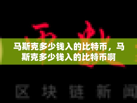 马斯克多少钱入的比特币，马斯克多少钱入的比特币啊-第1张图片-币数通