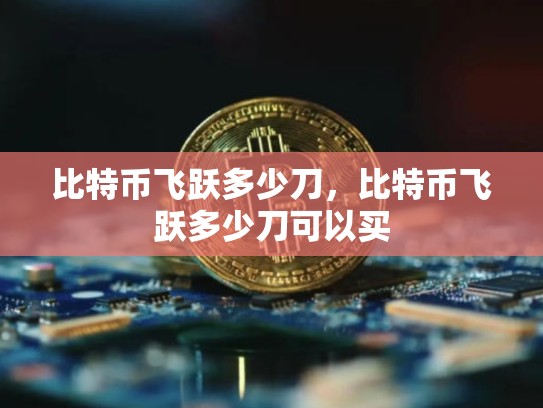 比特币飞跃多少刀，比特币飞跃多少刀可以买