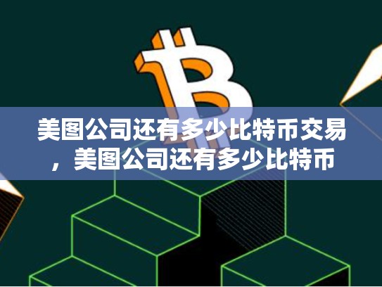 美图公司还有多少比特币交易，美图公司还有多少比特币