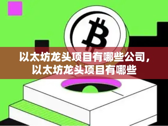 以太坊龙头项目有哪些公司，以太坊龙头项目有哪些