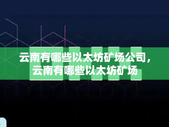 云南有哪些以太坊矿场公司，云南有哪些以太坊矿场