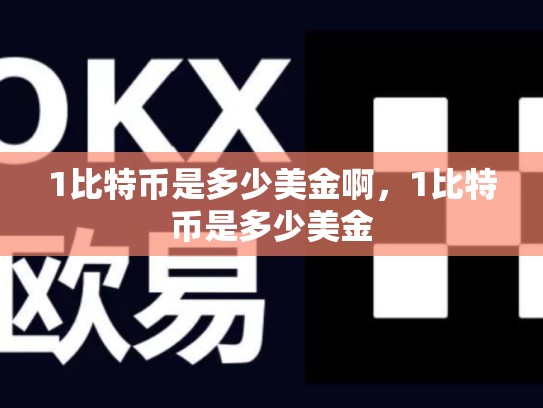 1比特币是多少美金啊，1比特币是多少美金