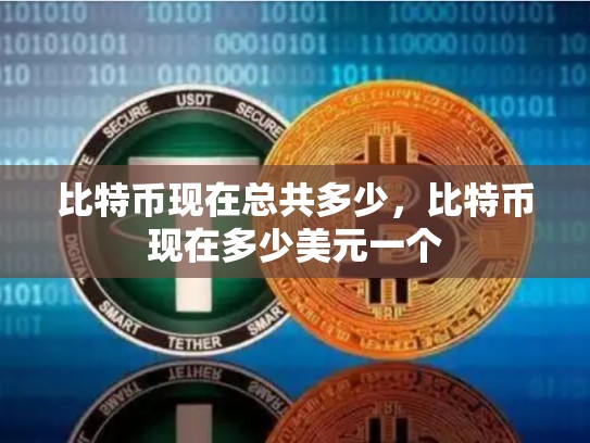 比特币现在总共多少，比特币现在多少美元一个-第1张图片-币数通