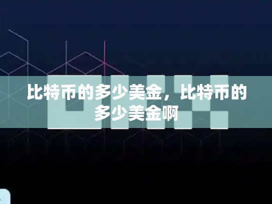 比特币的多少美金，比特币的多少美金啊