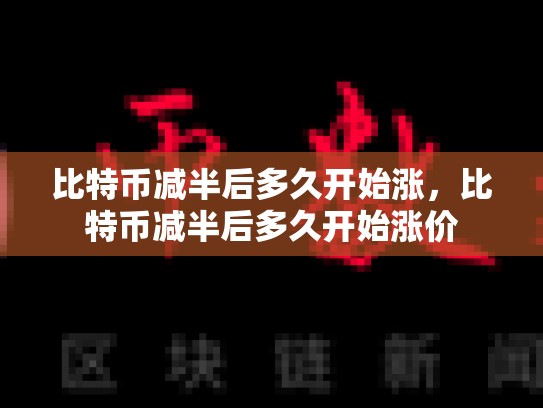 比特币减半后多久开始涨，比特币减半后多久开始涨价-第1张图片-币数通