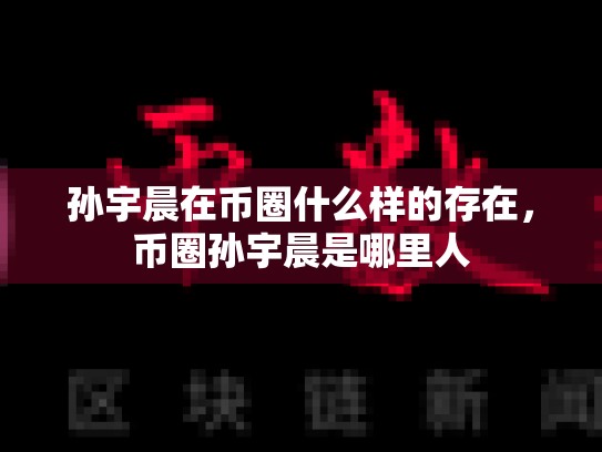 孙宇晨在币圈什么样的存在，币圈孙宇晨是哪里人